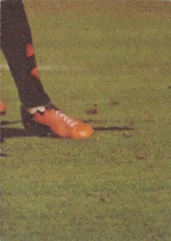 1977 Scanlens VFL #80 David McLeish Back